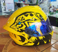 PANTHER Custom Airbrushed  Motorcycle Helmet